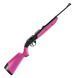 Пневматична гвинтівка Crosman 760 Pumpmaster Pink 760P фото 1