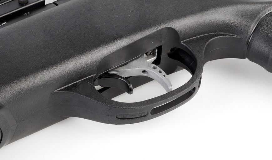 Пневматична гвинтівка Gamo Swarm Magnum Pro 10X Gen3i приціл 3-9х40 61100393-IGT фото