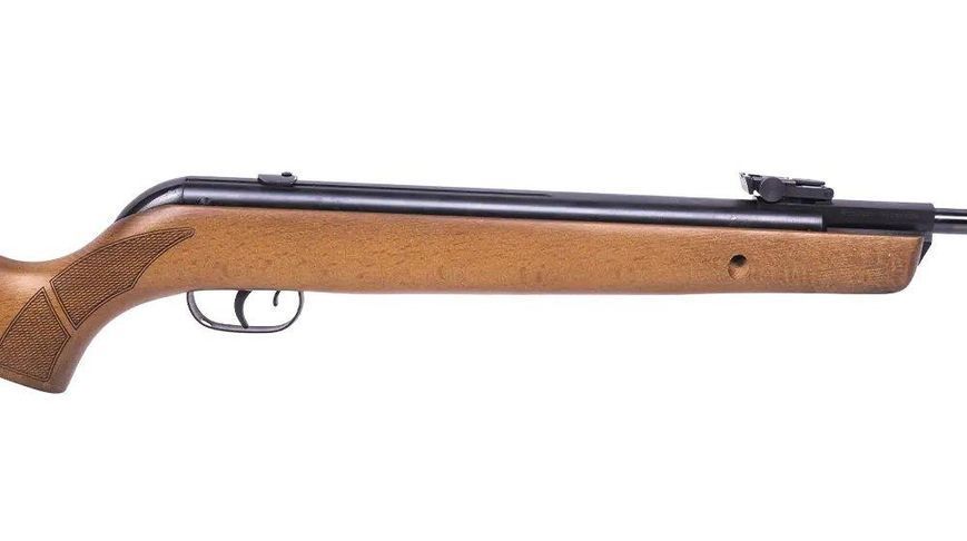 Пневматическая винтовка Gamo Big Cat Hunter 2735462089 фото